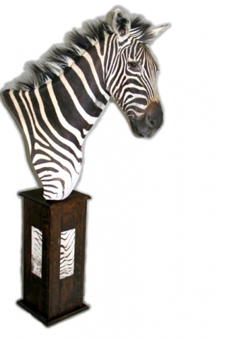 Zebra Giraffe