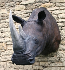 Preparace nosorožec