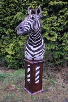 Preparace Zebra