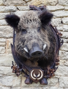 Wildschwein