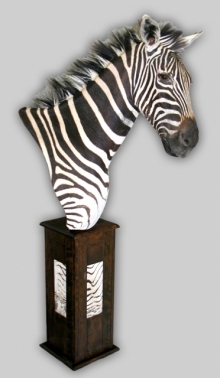 Zebra and Giraffe