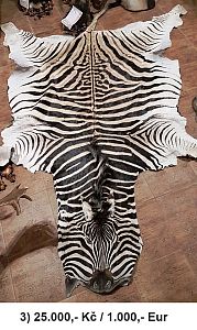 Zebra kůže / skin